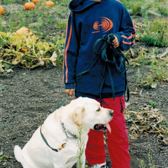 Lloyd-1.jpg